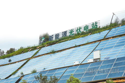 云南交投集團 以新質生產力賦能綠美通道經濟，推動種植技術開發創新