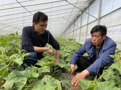 科技惠農 老百姓的笑臉是我們放不下的牽掛