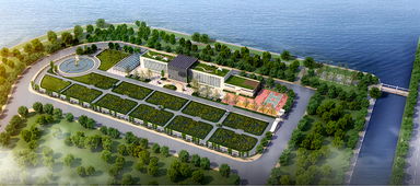 青島海水稻研發(fā)中心揭牌，首代稻種預計11月問世，技術(shù)開發(fā)引領(lǐng)農(nóng)業(yè)新篇章